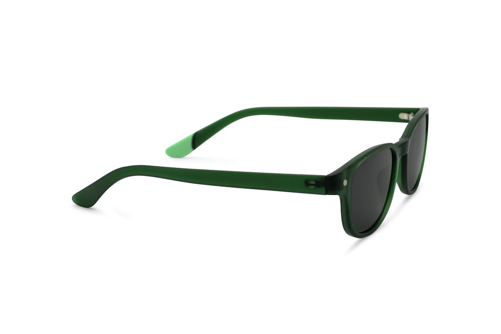 Pirin – Forest - SUNGLASSES